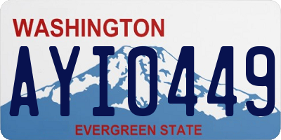 WA license plate AYI0449