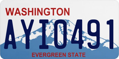 WA license plate AYI0491