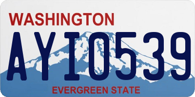 WA license plate AYI0539