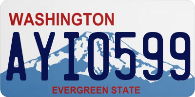 WA license plate AYI0599