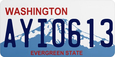 WA license plate AYI0613