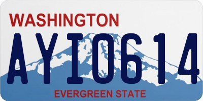 WA license plate AYI0614