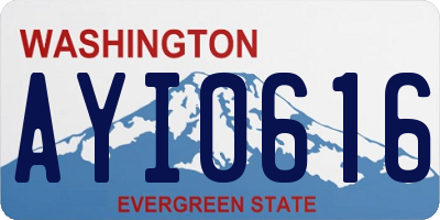 WA license plate AYI0616