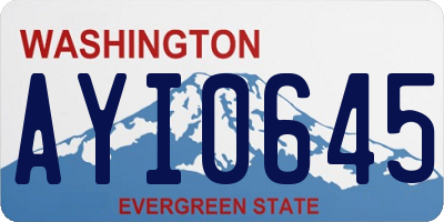 WA license plate AYI0645
