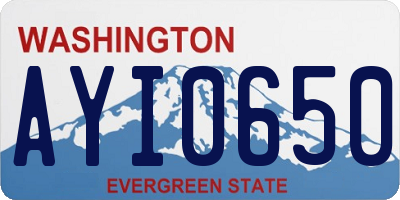 WA license plate AYI0650