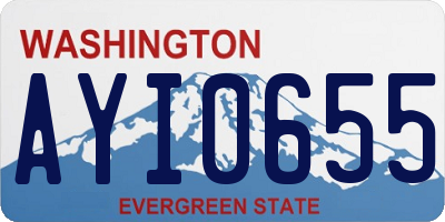 WA license plate AYI0655