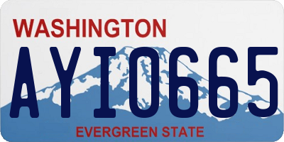 WA license plate AYI0665