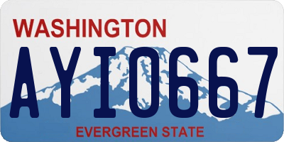 WA license plate AYI0667