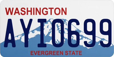 WA license plate AYI0699