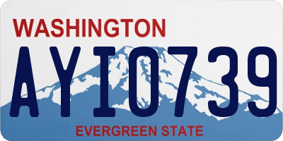 WA license plate AYI0739