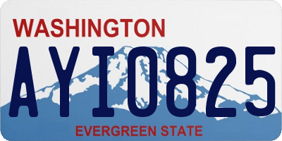 WA license plate AYI0825