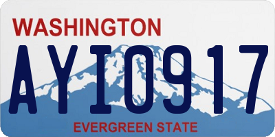 WA license plate AYI0917
