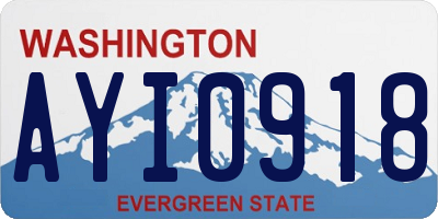 WA license plate AYI0918