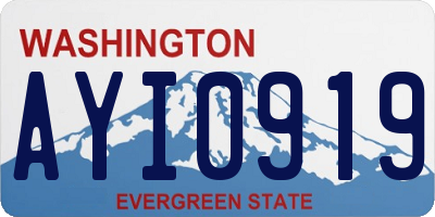 WA license plate AYI0919