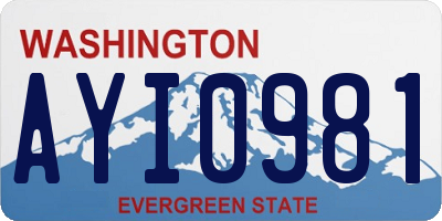 WA license plate AYI0981