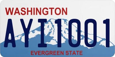 WA license plate AYI1001