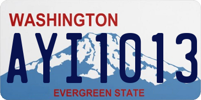 WA license plate AYI1013