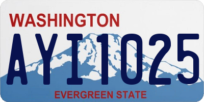 WA license plate AYI1025