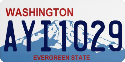 WA license plate AYI1029