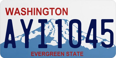 WA license plate AYI1045