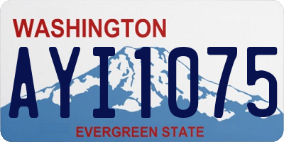 WA license plate AYI1075