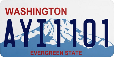 WA license plate AYI1101