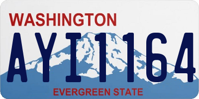 WA license plate AYI1164