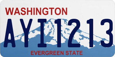 WA license plate AYI1213