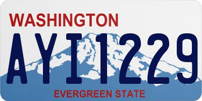 WA license plate AYI1229