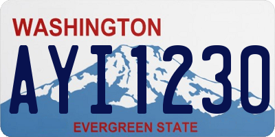 WA license plate AYI1230