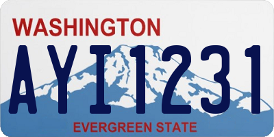 WA license plate AYI1231