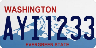 WA license plate AYI1233
