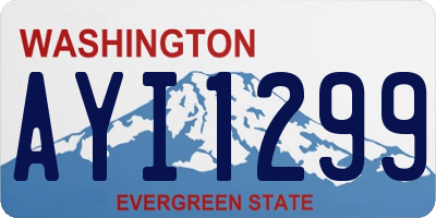 WA license plate AYI1299
