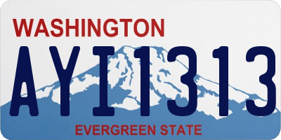 WA license plate AYI1313