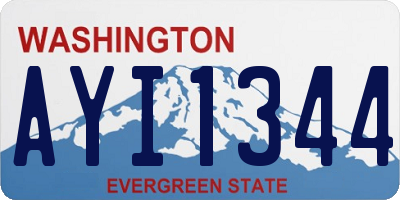 WA license plate AYI1344