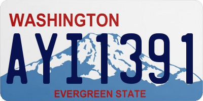 WA license plate AYI1391
