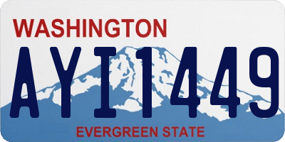 WA license plate AYI1449