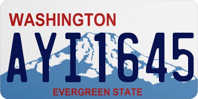 WA license plate AYI1645