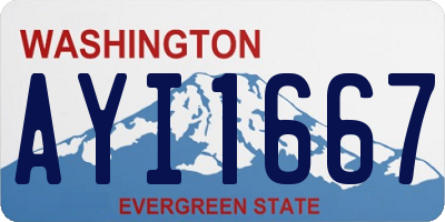 WA license plate AYI1667