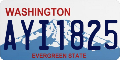 WA license plate AYI1825