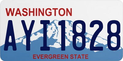 WA license plate AYI1828