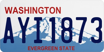 WA license plate AYI1873