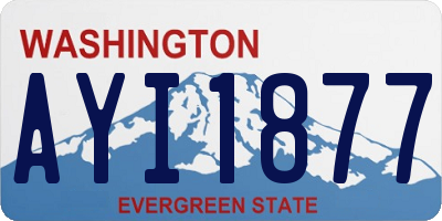 WA license plate AYI1877