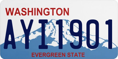WA license plate AYI1901