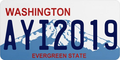 WA license plate AYI2019