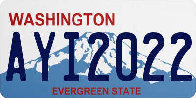 WA license plate AYI2022