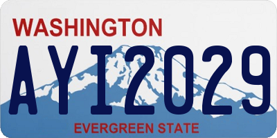 WA license plate AYI2029