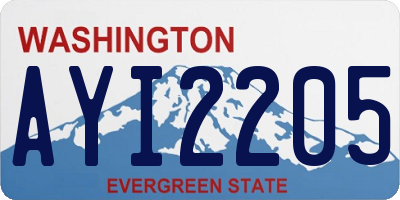WA license plate AYI2205