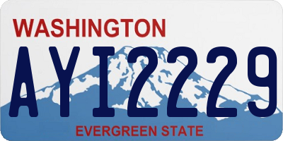 WA license plate AYI2229