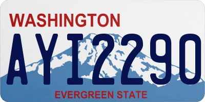 WA license plate AYI2290